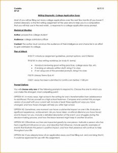 011 How To Write College Application Essay Format Admissions L