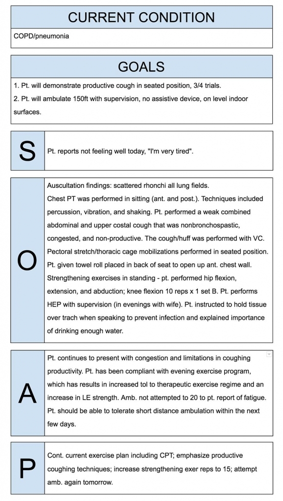 Soap Note Examples